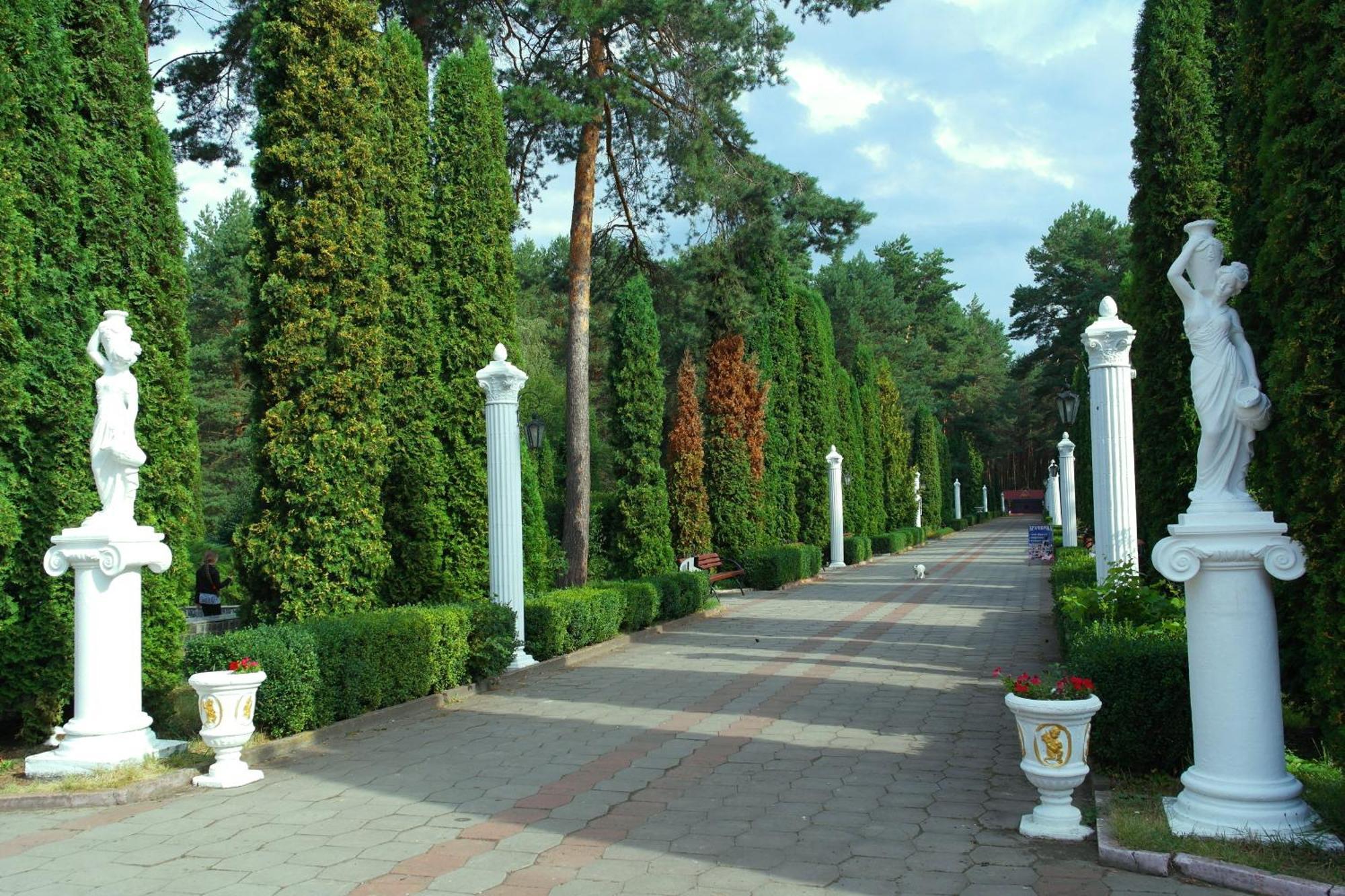 Санаторій Червона Калина Zhobryn エクステリア 写真